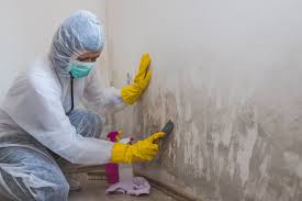 Mold Removal for HVAC Installations in Santa Maria, CA